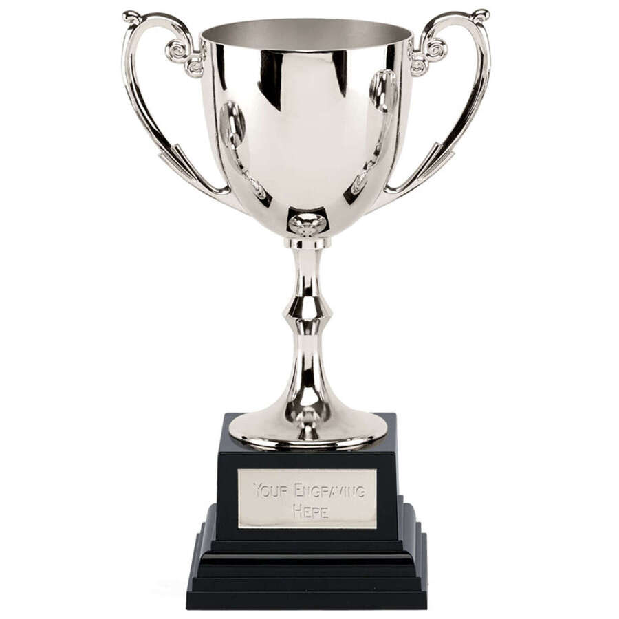 Silver Presentation Cast Metal Cup 8.25inches