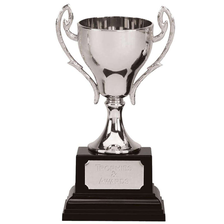 Silver Presentation Cast Metal Cup 6.5inches